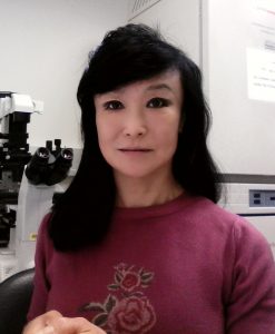 Xiuchun Tian (Cindy), Ph.D.